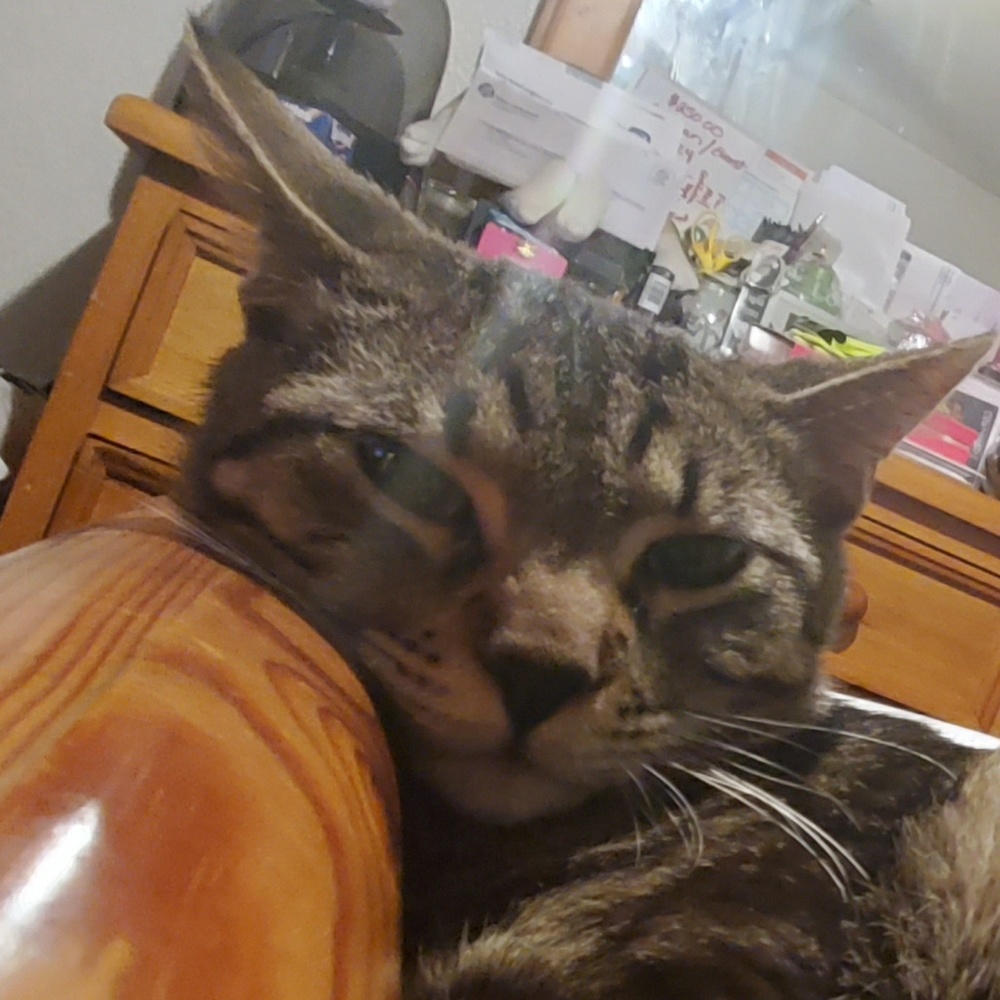 Meet your Posher, Mia